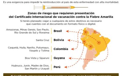 Si viajás a zonas de riesgo debes contar con Certificado Internacional de Vacunación contra Fiebre Amarilla