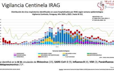 Consultas por gripe por debajo del umbral estacional pese a ligero incremento en la última semana