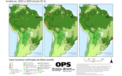 Alerta regional por aumento de casos de fiebre amarilla