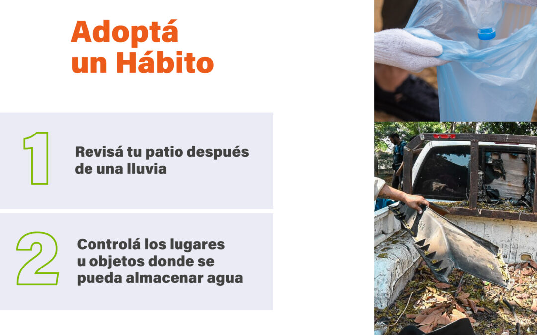 Dengue: notificaciones ascienden a 960 sospechas por semana