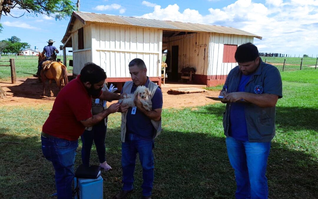 Brindan respuesta rápida ante notificación de rabia en animales, en Concepción