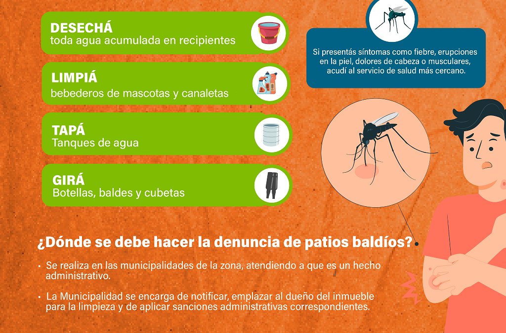 Sin epidemia de dengue a nivel país, pero con brotes puntuales y circulación de tres serotipos distintos