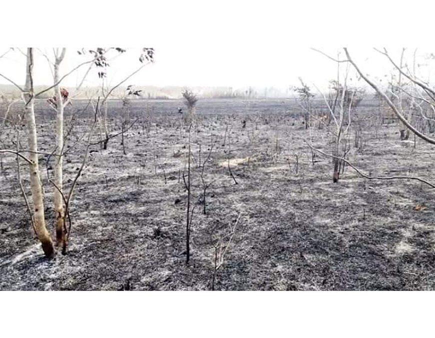 A un mes de los incendios: más de 1.500 asistidos y ningún fallecido