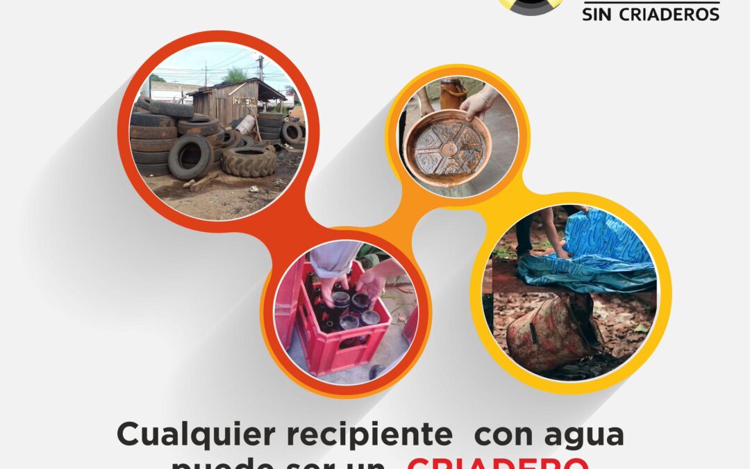 Arbovirosis: más del 70% de los casos sospechosos proceden de Central y Capital