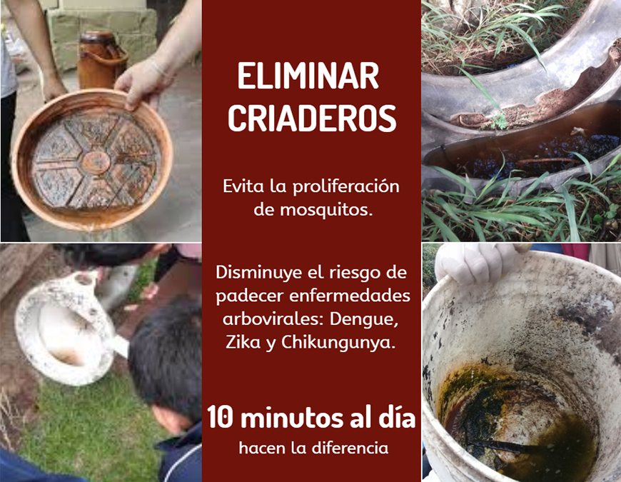 Arbovirosis: siguen los casos y la urgencia de eliminar criaderos