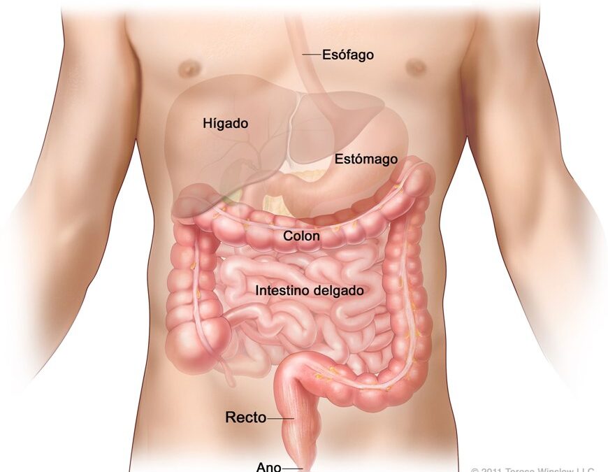 Cáncer de colon: actividad física y otros hábitos saludables pueden incidir en la prevención