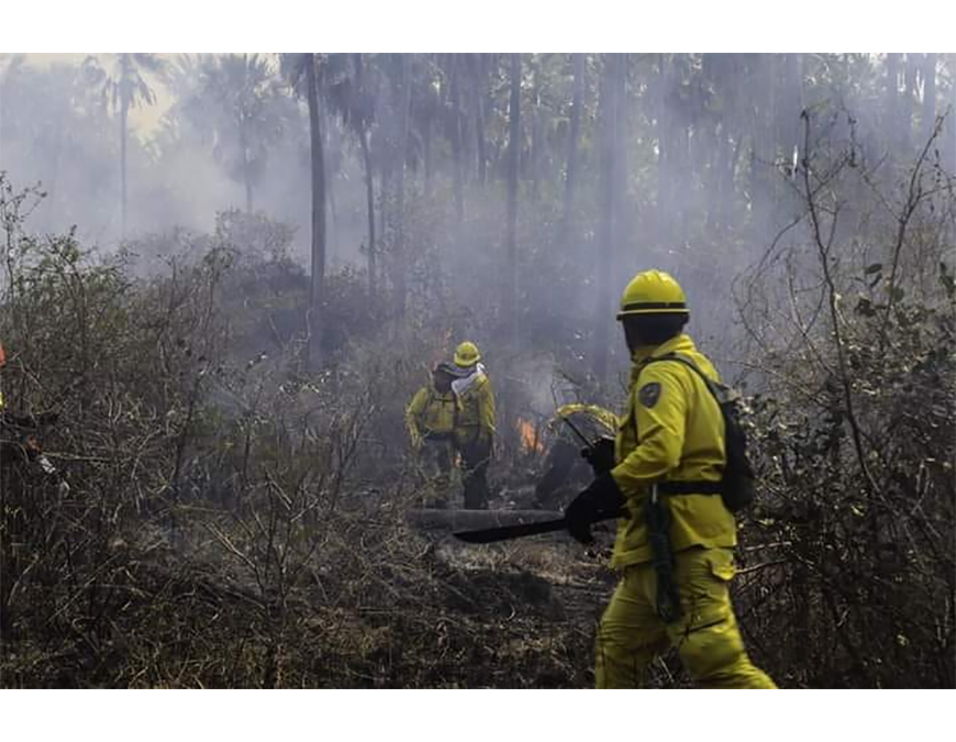 Cerca de 1.400 asistencias realizadas: sin casos graves ni fallecidos en zonas de incendios