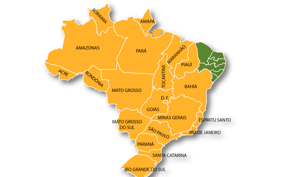 Certificado Internacional de Vacunación contra fiebre amarilla, será obligatorio para viajar a Brasil