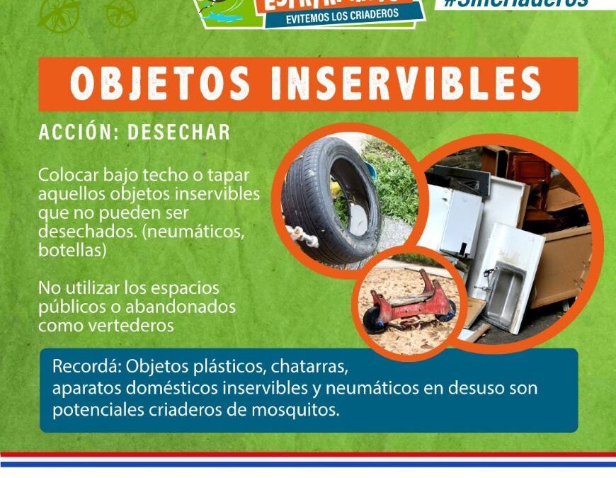 Dengue: más de doscientos afectados en las últimas tres semanas