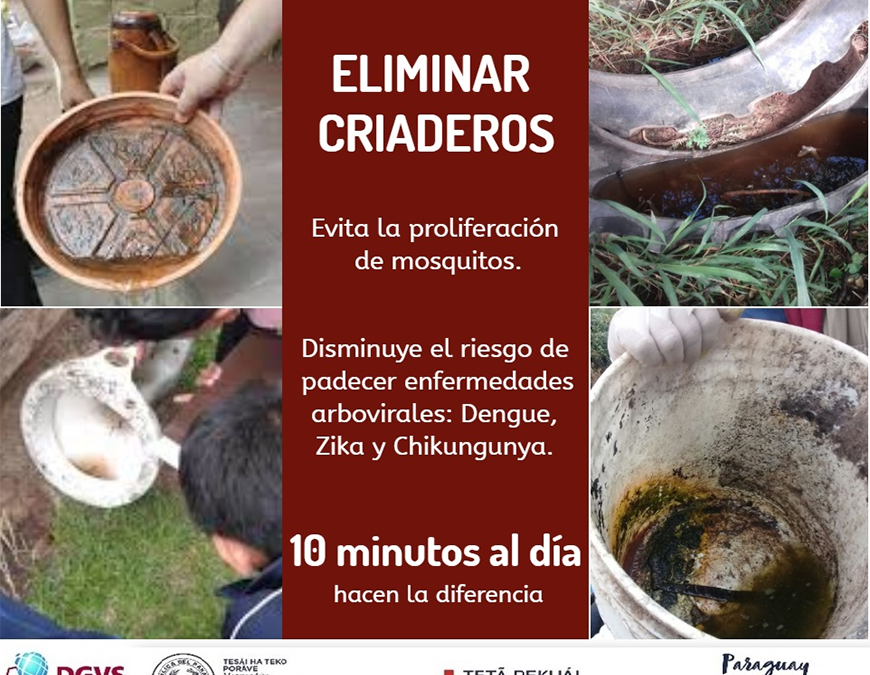 Dengue: aumenta el número de afectados por la enfermedad