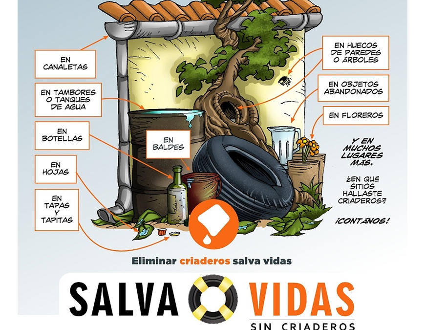 Más de 300 arbovirosis registradas: dengue lidera el ránking de casos