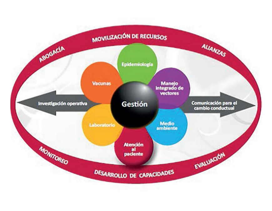 Misión internacional evaluará estrategia de control y prevención de enfermedades arbovirales en Paraguay