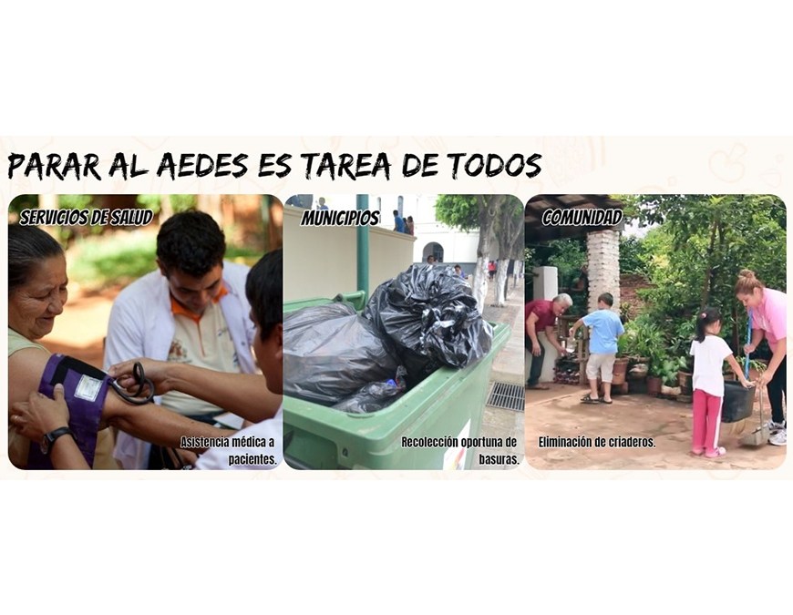 Notificaciones de arbovirosis se mantienen en considerable descenso