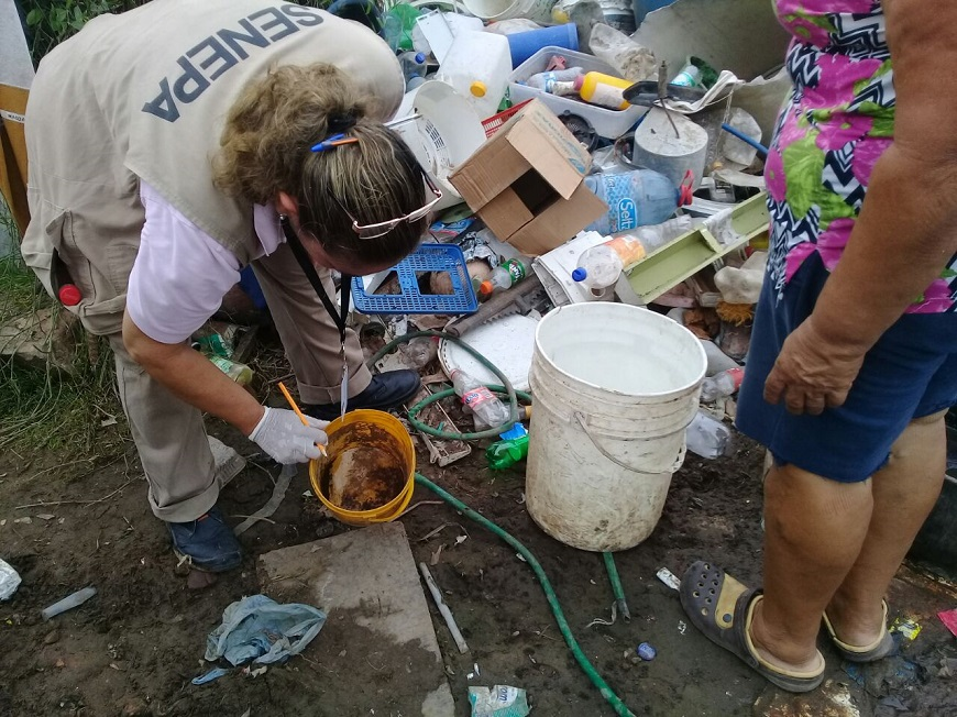 Persiste desinterés de la gente para eliminar criaderos