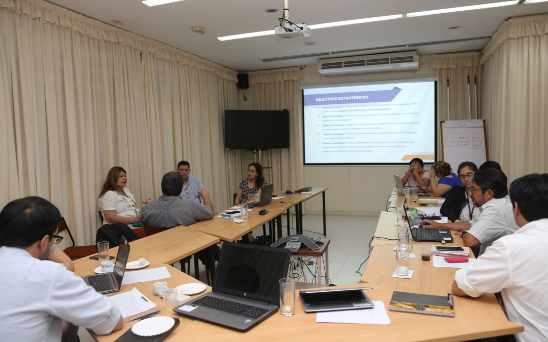 Plan nacional de resistencia antimicrobiana en etapa de culminación