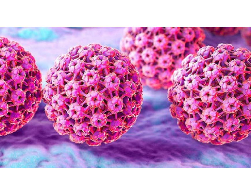 VPH, causante del cáncer cervicouterino y otros cánceres