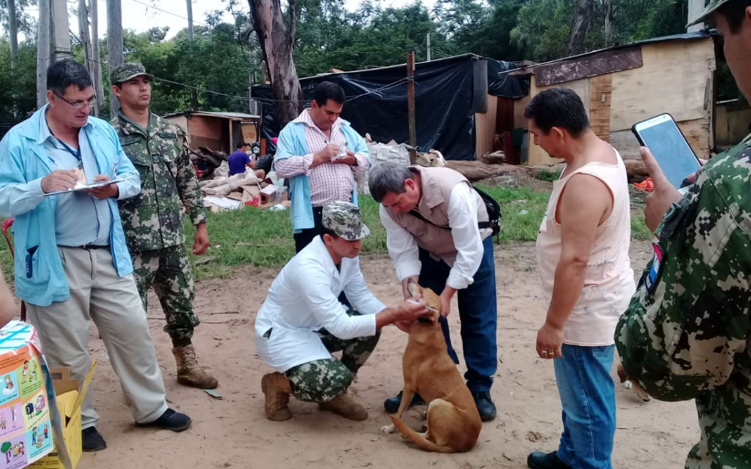 Vacunación antirrábica e inspección de mascotas en albergues