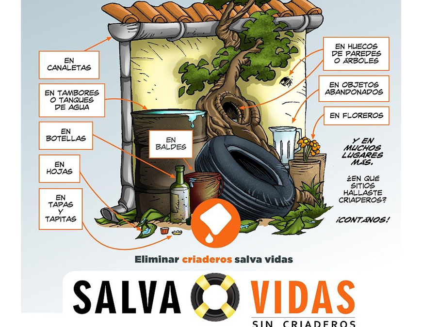 Casos de dengue superan los 10 mil este año: urge tomar conciencia