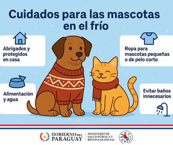 Recomendaciones para el cuidado de mascotas en condiciones de bajas temperaturas