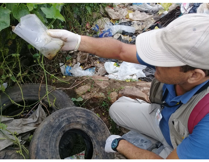 Desidia con criaderos: «Ojalá no tengamos que esperar a que muera alguien para empezar a limpiar»