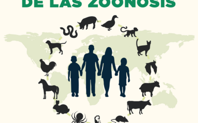 Día mundial de las Zoonosis: la salud animal, un pilar de la salud humana