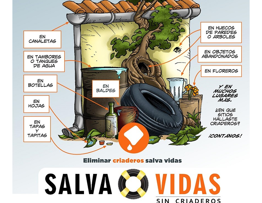 Eliminar criaderos, sobre todo después de las lluvias, vital para frenar expansión del dengue