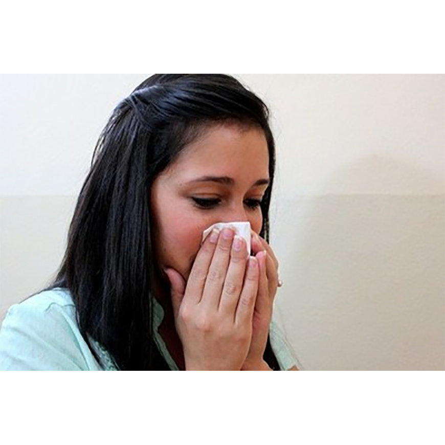 Dengue e influenza, virus circulantes todo el año – 10-02-2020