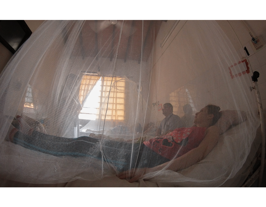 Dengue: un nuevo episodio puede registrarse 6 meses después del anterior