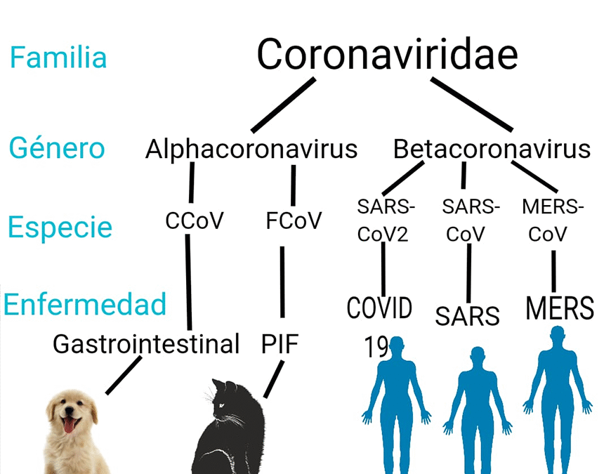 ¿Dudas acerca del uso de la mascarilla?