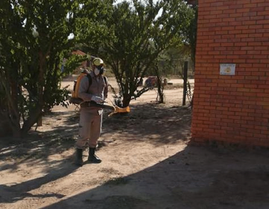 Realizan fumigaciones en escuelas y colegios, previo al inicio de clases