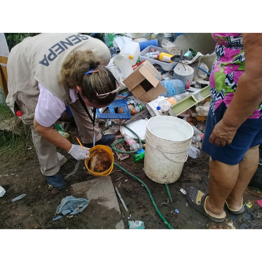 Seguimos encontrando criaderos en las casas – 14-02-2020