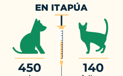 Centenares de mascotas vacunadas contra la rabia en Itapúa