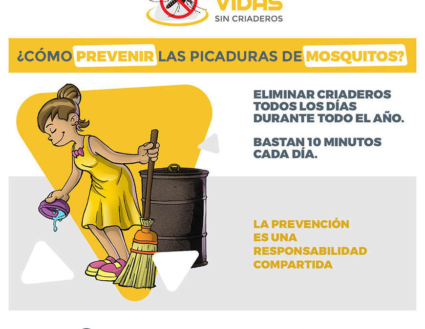 ¡Lamentable! Casi todas las viviendas inspeccionadas contaban con criaderos