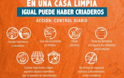 Curva de dengue se mantiene estable, con un promedio de 200 notificaciones por semana