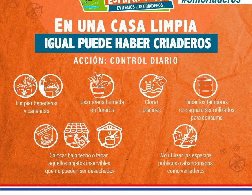 Curva de dengue se mantiene estable, con un promedio de 200 notificaciones por semana