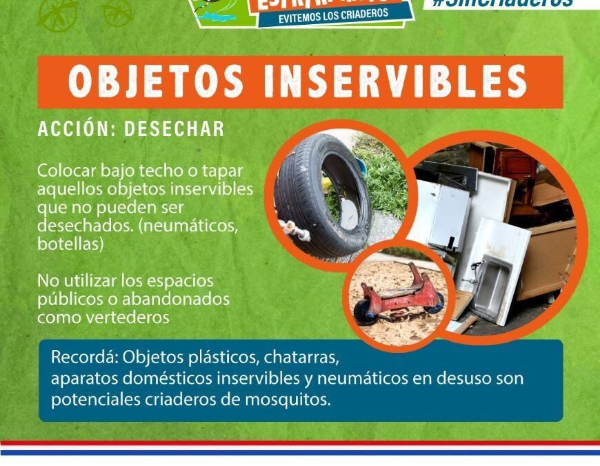 Dengue: sin casos nuevos en las últimas semanas