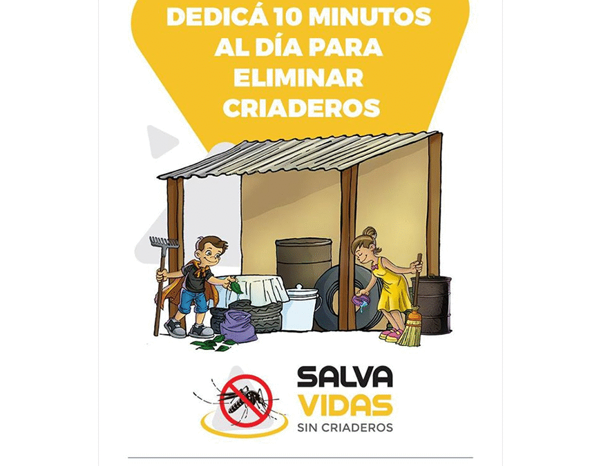 Dengue en curso, pero con notificaciones dentro de lo esperado