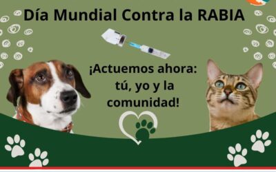 La rabia: enfermedad zoonótica prevenible con vacunación