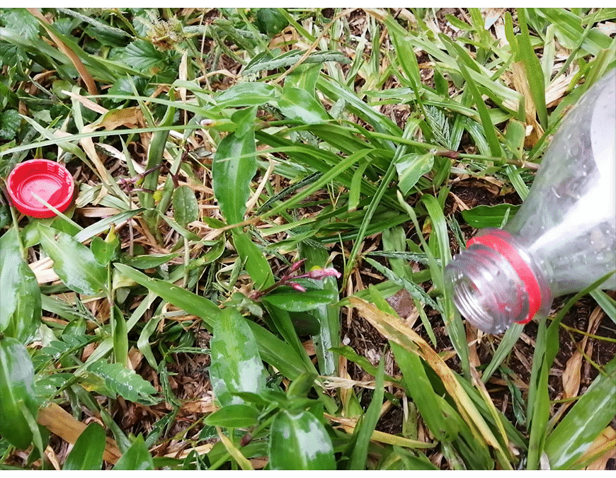 Si criaderos no se eliminan, el Aedes aegypti seguirá vigente