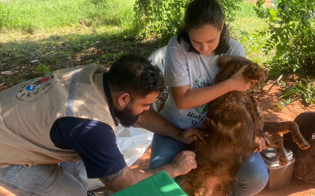 Central: más de 70 mascotas vacunadas contra la rabia