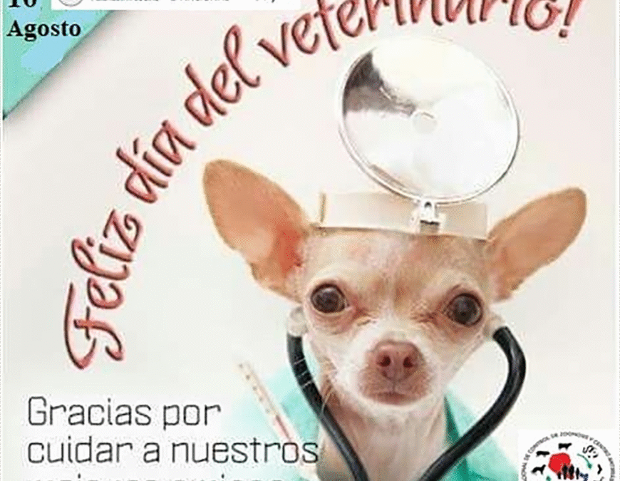Al año, 3.000 mascotas son atendidas en consultorios del Programa de Control de Zoonosis