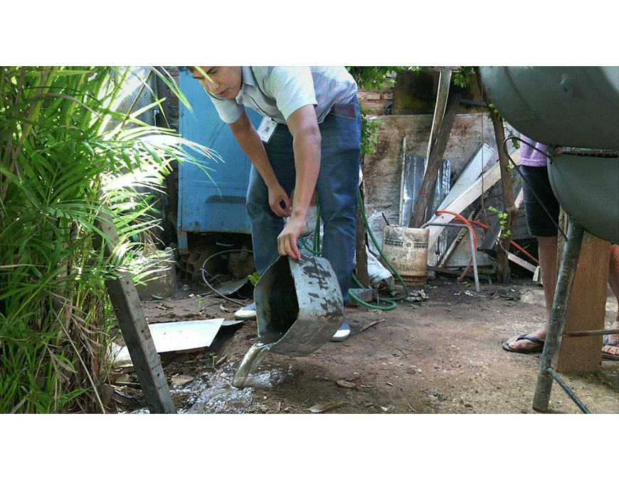 Casos de dengue superan los 1,6 millones en América, señala OPS