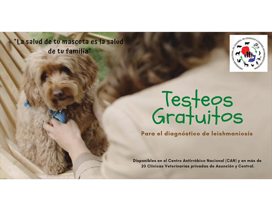Conocé el estado de salud de tu mascota, accedé al test gratuito de leishmaniosis