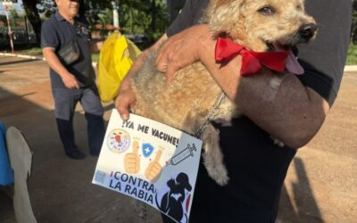 Cerca de 300 mascotas atendidas en jornada AutoCAN en San Lorenzo