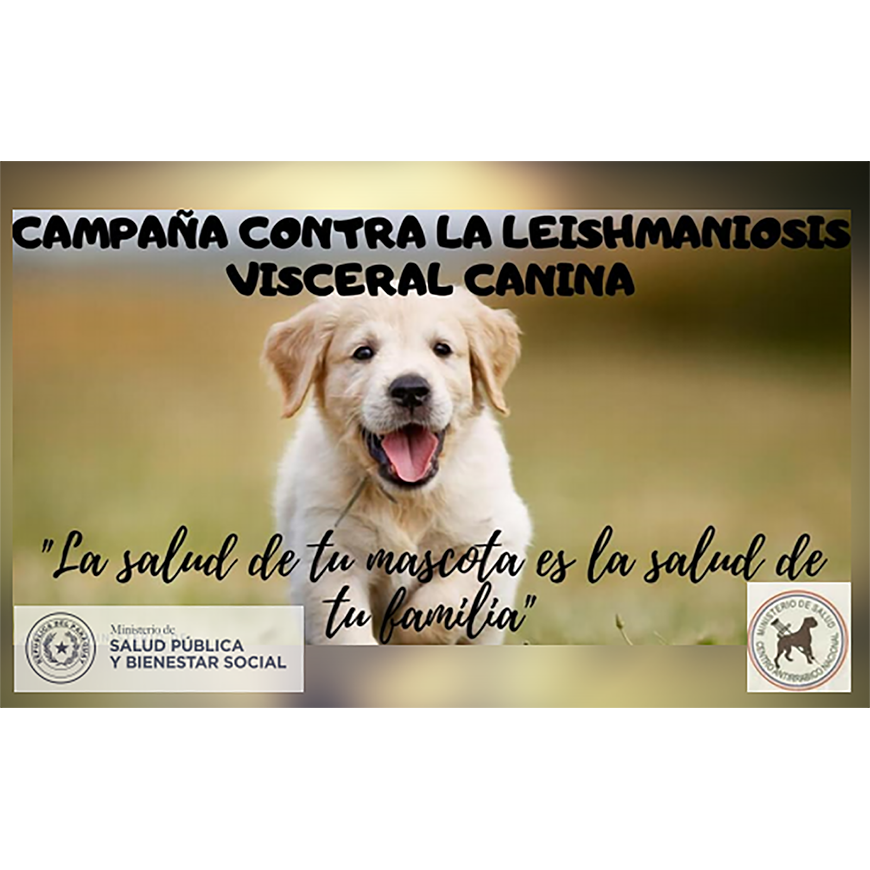 Inicia campaña de detección de leishmaniosis en perros – 17-06-2020