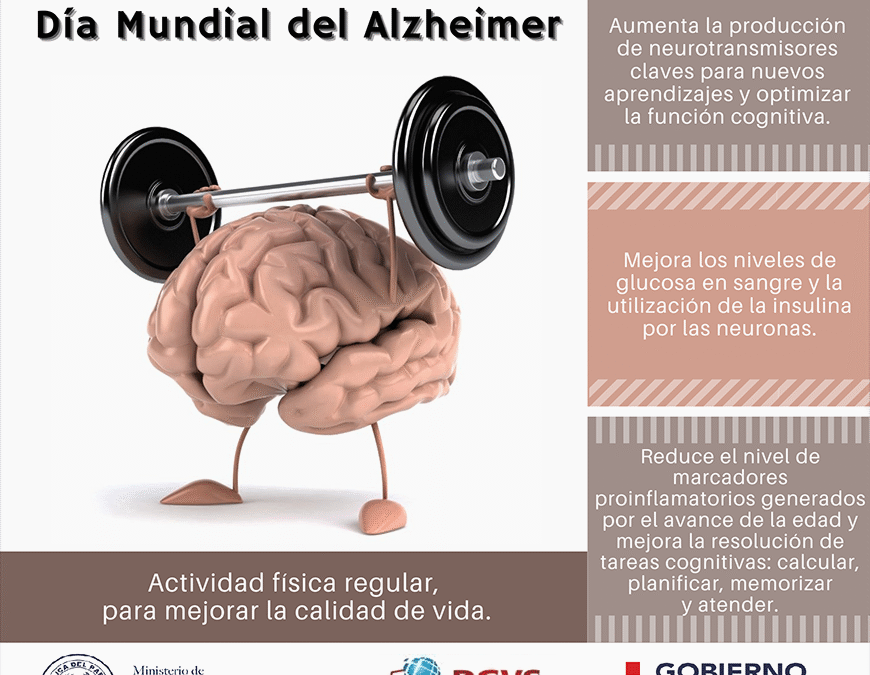 Actividad física, aliada en la prevención y tratamiento de personas con Alzheimer