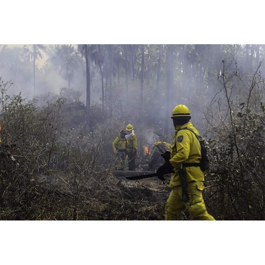 Alerta epidemiológica ante riesgos y daños ocasionados por incendios – 01-10-2020