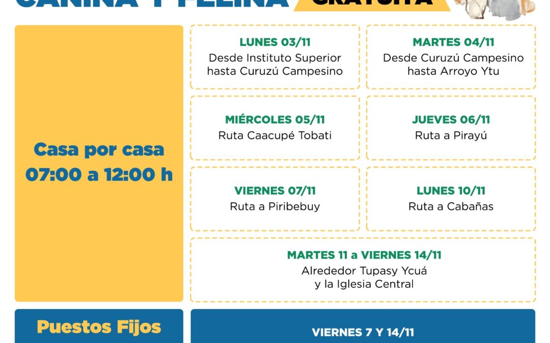 Inicia vacunación antirrábica a perros y gatos, en el marco del Operativo Caacupé