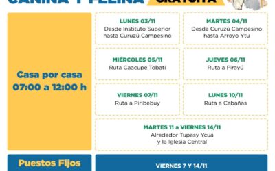 El lunes inicia vacunación antirrábica de perros y gatos, en el marco del Operativo Caacupé