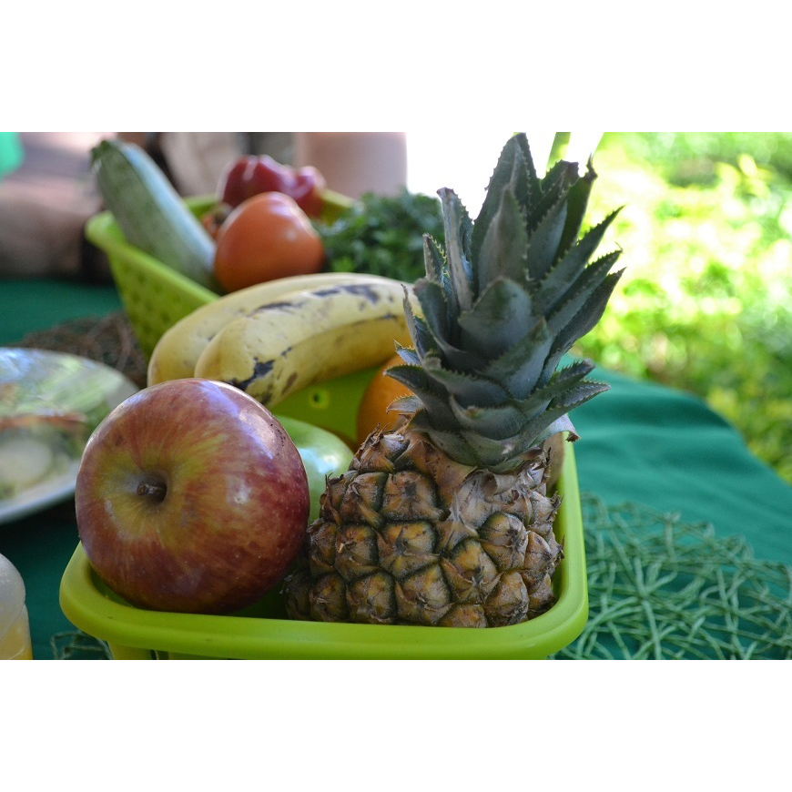 La obesidad no es solo resultado de comer en exceso, intervienen además otros factores – 11-10-2020